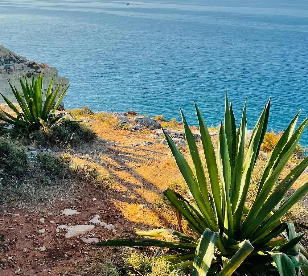 Quinta Do Paraiso Carvoeiro  Holiday home Carvoeiro (Lagoa)