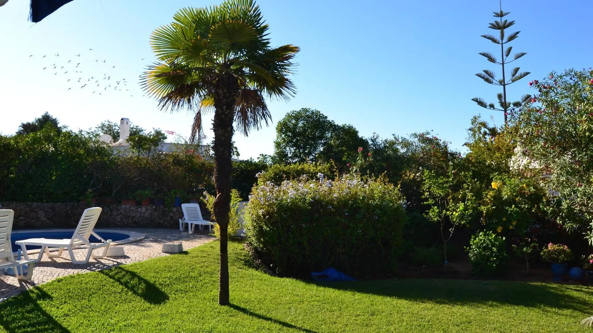 Quinta Do Paraiso Carvoeiro  Holiday home